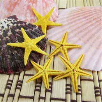 1 10 adet/lot-2cm Doğal Deniz Yıldızı deniz yıldızı deniz Kabuğu Sanat DİY Ev Dekorasyon Duvar Çıkartmaları Dekor Süs Malzemesi Şişe İsteyen