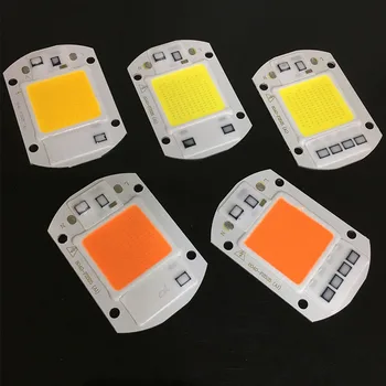 10Sets Büyümek Çip COB+Lens LED Sel Işık DİY dış ışık İçin 50W 2D 10W 220V Soğuk Sıcak Beyaz Tam Spektrum LED Reflektör