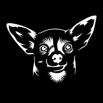 13,2*10CM Chihuahua Küçük Köpek Sevimli Karikatür Araba Stil Pencere Dekorasyonu Çıkartma Yaratıcı Araba Sticker C6-1365