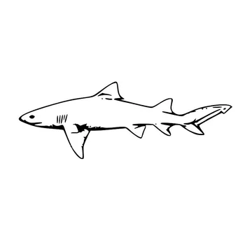 13,2*4.8 CM Büyük Büyük Beyaz Köpekbalığı 0643 C6 Hayvan Komik Araba Sticker Siyah/Gümüş Stil Karikatür Çıkartma Vinil Araba-