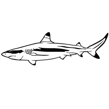 14.9*4.6 CM Köpekbalığı Hayvan Vinil Çıkartma Araba Şekillendirme Pencere Camı Dekoratif Çıkartmalar Araba Aksesuarları C6-0673