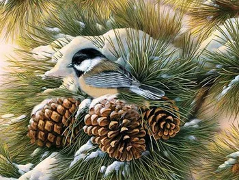 5D DİY Elmas Boya Kuş Kristal Elmas Çapraz Dikiş Nakış Orman Kuşlar Hayvan Ev Dekoratif Boyama