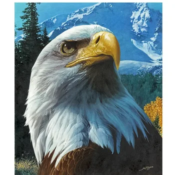 5D elmas nakış kuş diy elmas Boya eagle pictures elmas mozaik Nakış elmas resim ev dekor tuval hediye