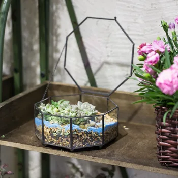 7.5 cm Modern Sekizgen Masa üstü Cam Saksı Saksı Bitki Görüntülemek Bonsai Pot Bahçe Cam Geometrik Teraryum Hediye Succulents