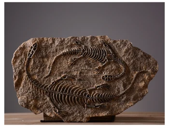 Amerikan country Cafe Bar Duvar Duvar yumuşak mobilyalar süsler dinozor fosilleri Ev Dekorasyon reçine kafatası kişiselleştirilmiş