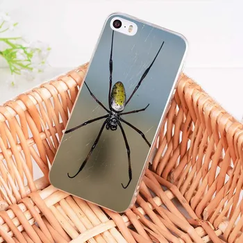 Apple iPhone 8 7 6 6 için MaiYaCa Hayvan Örümcek, Akrep, Örümcek Islak Özel Teklif Lüks telefon kılıfı Artı X 5 5S 5C 4 4S Kapak SE