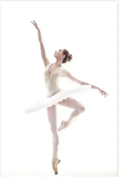 Bale Hareketleri Beyaz Fotoğraf Sanat Baskı tuval resim çerçevesi olmadan Duvara Resim Resim Poster
