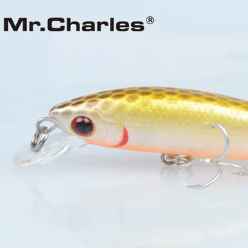 Bay Charles CMC029 Balık yemi 60 mm/3.5 g 0-0.3D Gözleri Shad Kaliteli Profesyonel Minnow Sert Yemler Yüzen 3 m Simüle