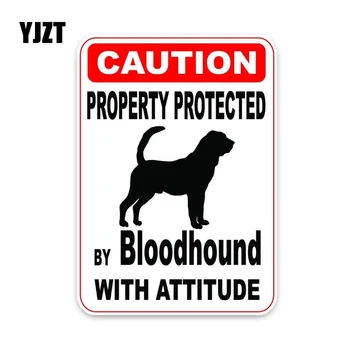 Bloodhound Köpek Araba Çarpışan Araba Sticker C1 Tarafından Korunan YJZT 10*12 CM Özellik-4411