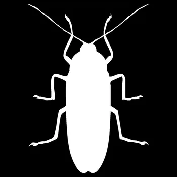 C9 9.6*13.3 CM Hamamböceği Komik Yaramazlık Araba Şekillendirme Gerçekçi Hayvan Vinil Araba Sticker Siyah/Gümüş-1734