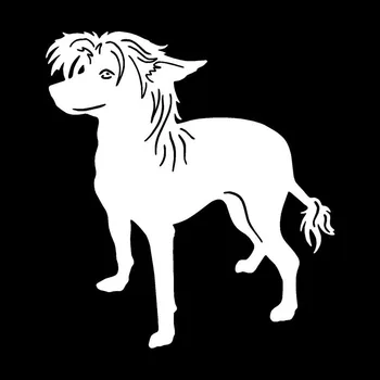 Dekoratif Çıkartmalar Şekillendirme*11.7 12.7 CM Çin Tepeli Köpek Güzel Klasik Hayvan Araba Kuyruğu C6-0725 Çıkartmaları Kişiselleştirilmiş