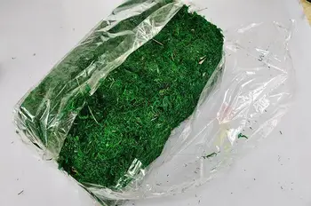 Doğal 50 gr-100gr torba kuru gerçek yeşil Yosun süs bitkisi saksı dekorasyon için suni çim ipek Çiçek vazo aksesuarları