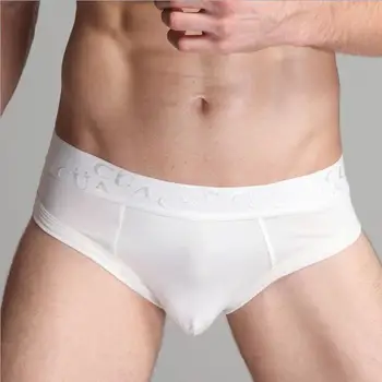 Düz Boş Erkekler Külot iç Çamaşırı Seksi Kalıcı Esnek Erkek Külot Underpant Elastik Kalite AMU153001 Erkek iç Çamaşırı Makbuzları