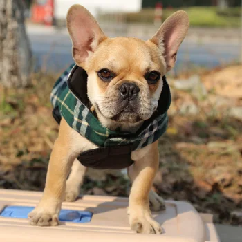 Geri Dönüşümlü Su Geçirmez Orta Büyük Büyük Köpek Giysileri Kış Ceket Ceket Sıcak Ekose Yelek Labrador Fransız Bulldog Boxer Köpek Giyim