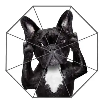 Güzel Bigstock Köpek Hayvanlar Özel Güneşli ve Yağmurlu Şemsiye Tasarım Taşınabilir Moda Kullanışlı Şemsiyeler Güzel Hediye Şık