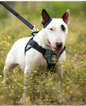 Küçük Büyük Orta Köpek Dayanıklı Naylon Evcil Köpek Bulldog Golden Retriever için Yelek Yürüyen Hiçbir Çek Köpek Eğitim Koşum Koşum