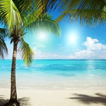 Laeacco Yaz Güneşli Sahil Plajı, Palmiye Ağaçları Çekimi Arka Plan Vinil Özel Kamera Fotoğraf Fotoğraf Stüdyosu İçin Zemin