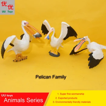 Pelican Kuş simülasyon modeli Hayvan oyuncaklar çocuklar eğitim sahne sıcak oyuncaklar: