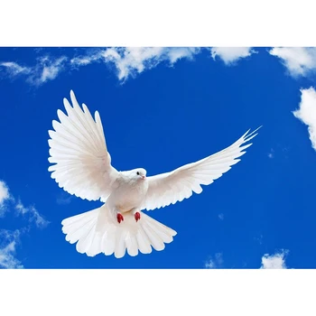 Taslar Ev Dekorasyon DW632 beyaz güvercin DİY 5D Elmas Resim Çapraz Dikiş Nakış Elmas Elmas Mozaik resim