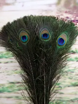 Toptan yüksek kaliteli 10 adet 18inch doğal peacock Dekoratif diy 40-45cm / 16 tüy-
