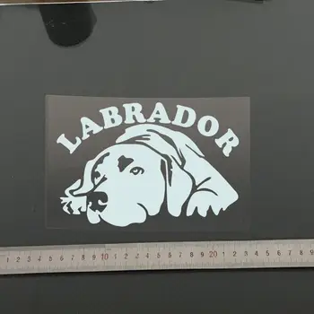 Yüksek Kaliteli motosiklet Yansıtıcı Tip Araba çıkartmaları stil Çıkartmaları Araba Araba Aksesuarları İçin Tampon Çıkartmaları Labrador Etiketler
