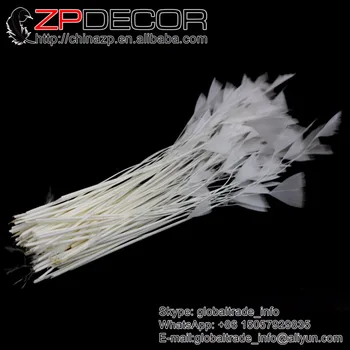 ZPDECOR Yüksek Kalite Beyaz-20 cm(6-8 inç) 15 100pieces/çok Nedime Saç Aksesuarları için Türkiye Tüyleri Soyulmuş Kabuksuz