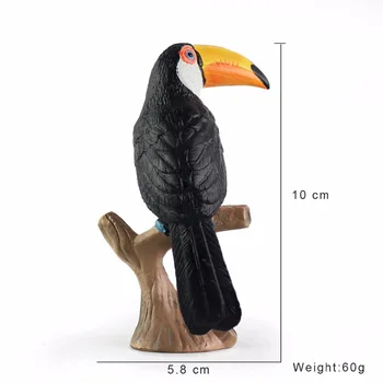 Çocuklar için Eğitim Wiben Toko Tukan Kuşları Katı PVC Yüksek Kaliteli Simülasyon Hayvan Modeli Aksiyon & Oyuncak Rakamlar Hediye