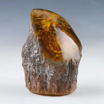 Ücretsiz kargo için doğal eski amber eşsiz akrep amber klasik Sanat Koleksiyonu ve ev dekorasyonu