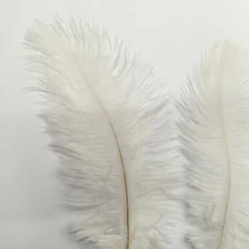 Ücretsiz Nakliye Hotsale 10 ADET Beyaz Tüy 15-20 cm Düğün Dekorasyon Parti Tüyleri Dekoratif Kutlama Devekuşu Güzel